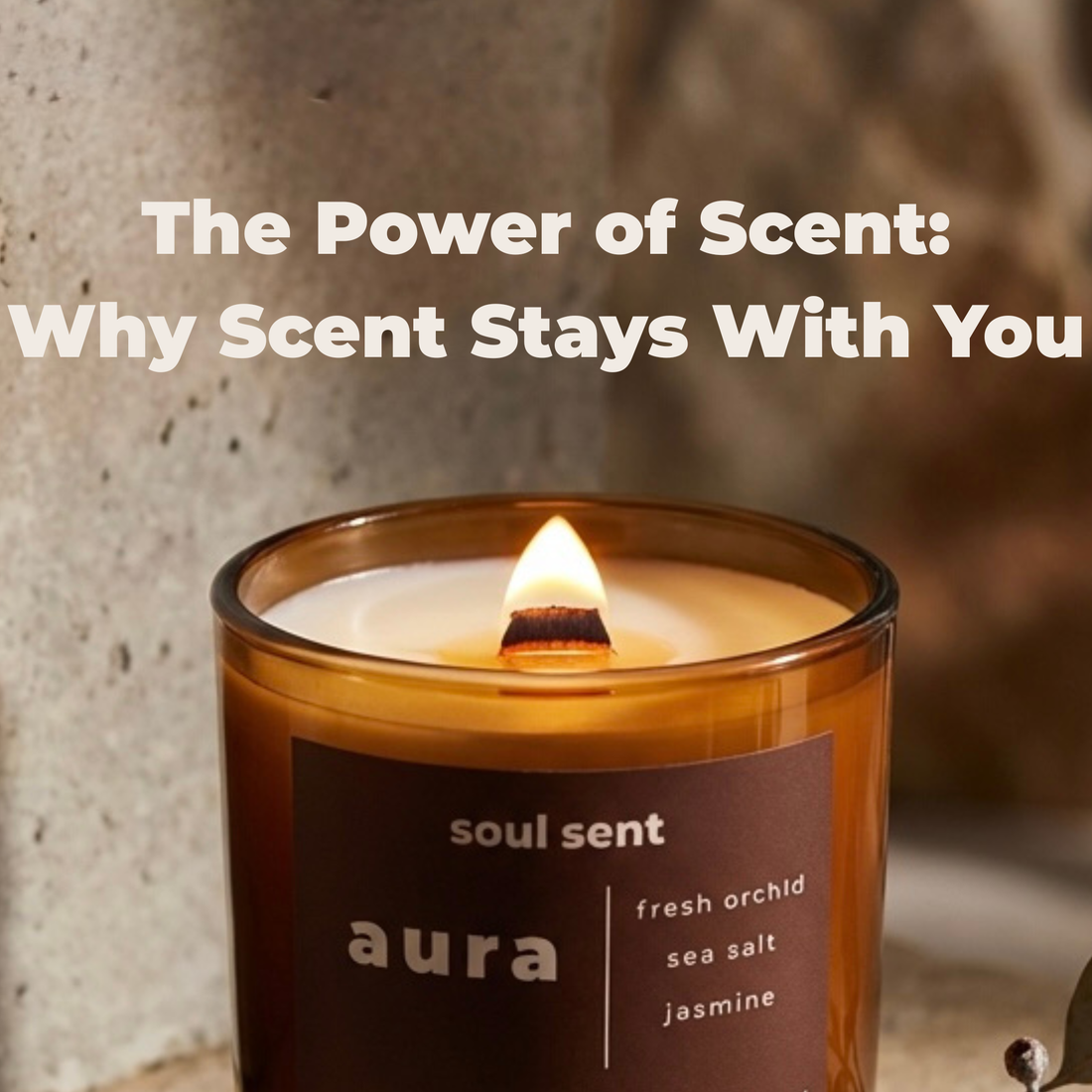 The Power of Scent: Why Fragrance Becomes Part of Your Life