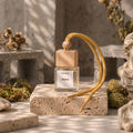 aura car diffuser Soul Sent