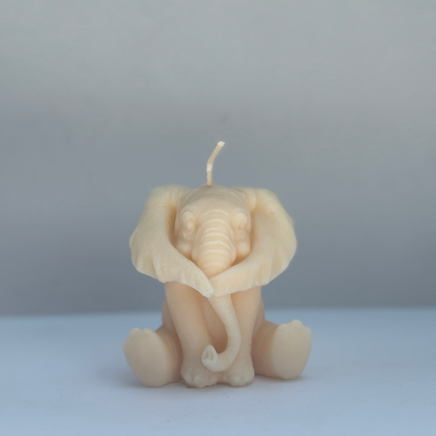 Elephant Soul Sent