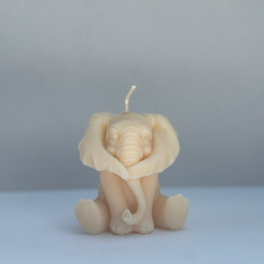 Elephant Soul Sent