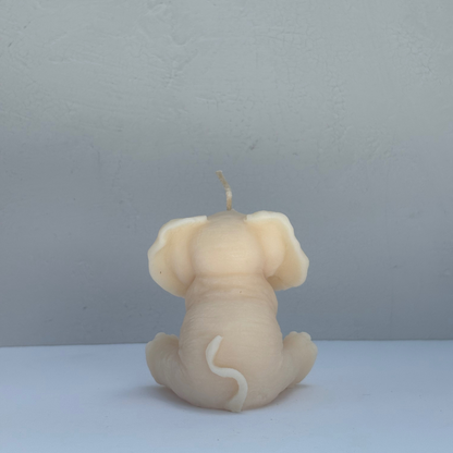 Elephant Soul Sent