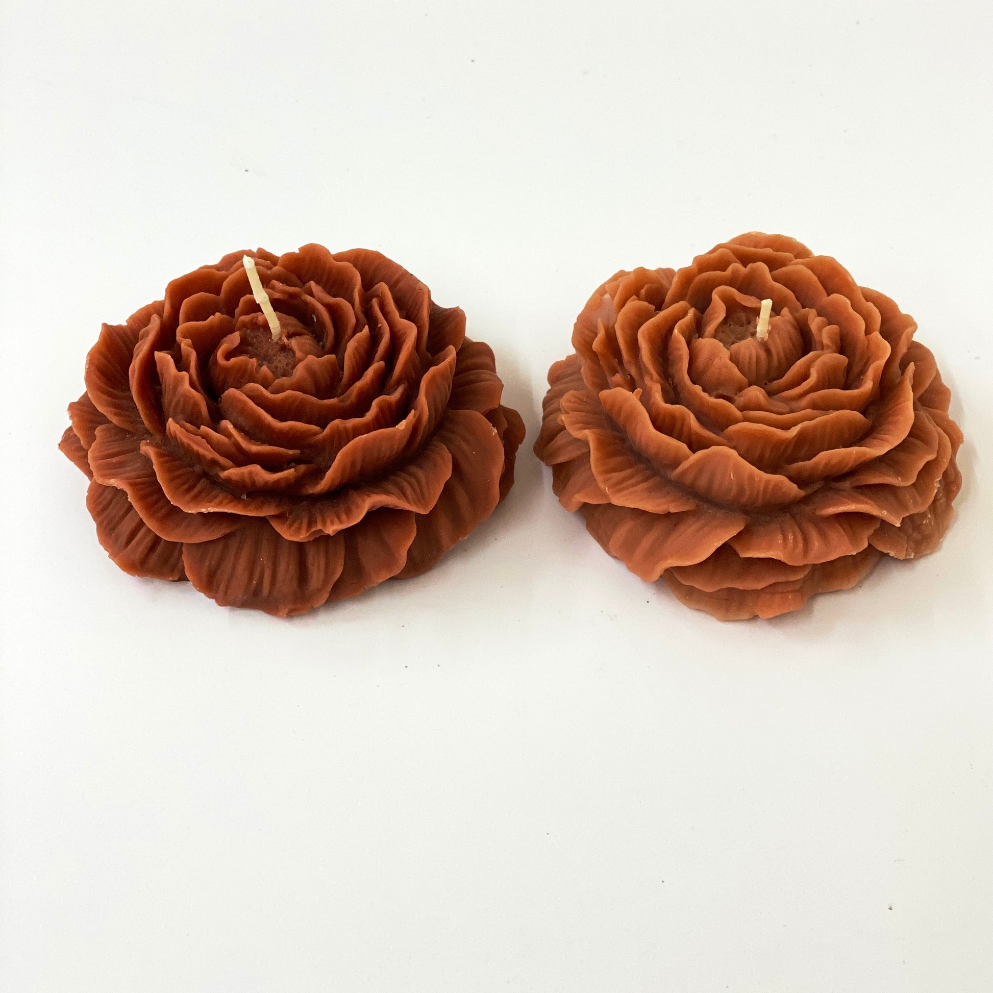 Rose Petals SoulSent