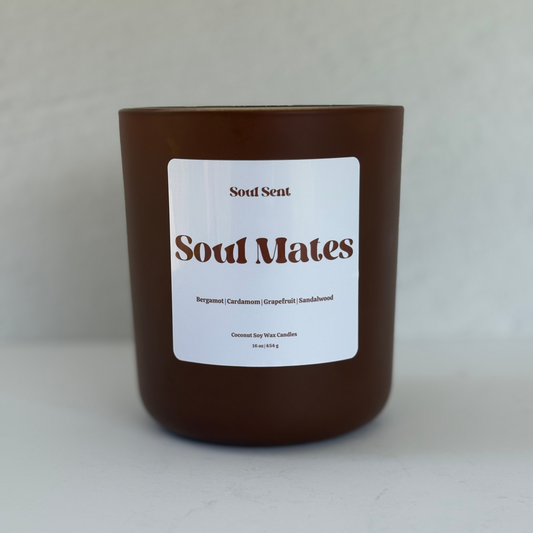 Soul Mates Soul Sent