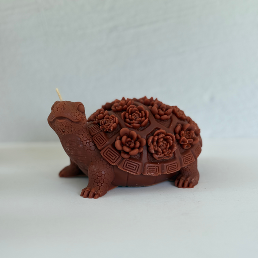 Turtle Soul Sent