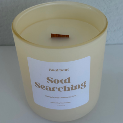 Soul Searching Soul Sent
